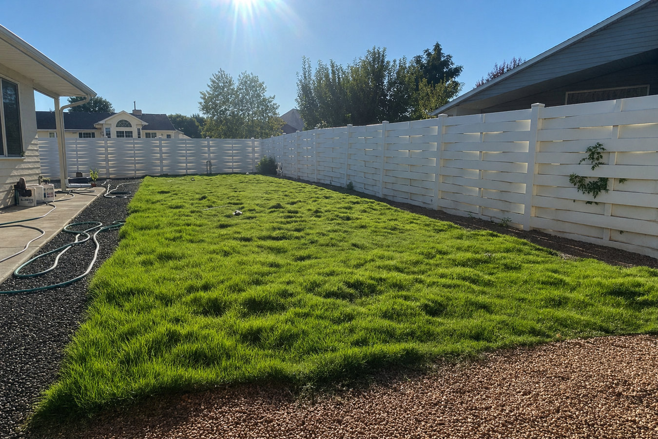 Drought-tolerant turf